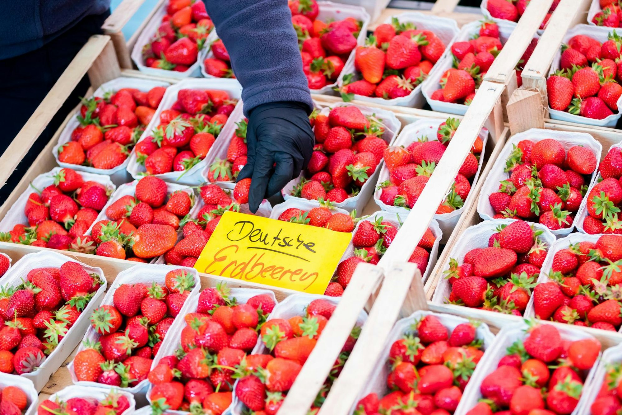Erdbeeren Verkauf