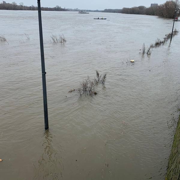 Rheinhochwasser2 (1)