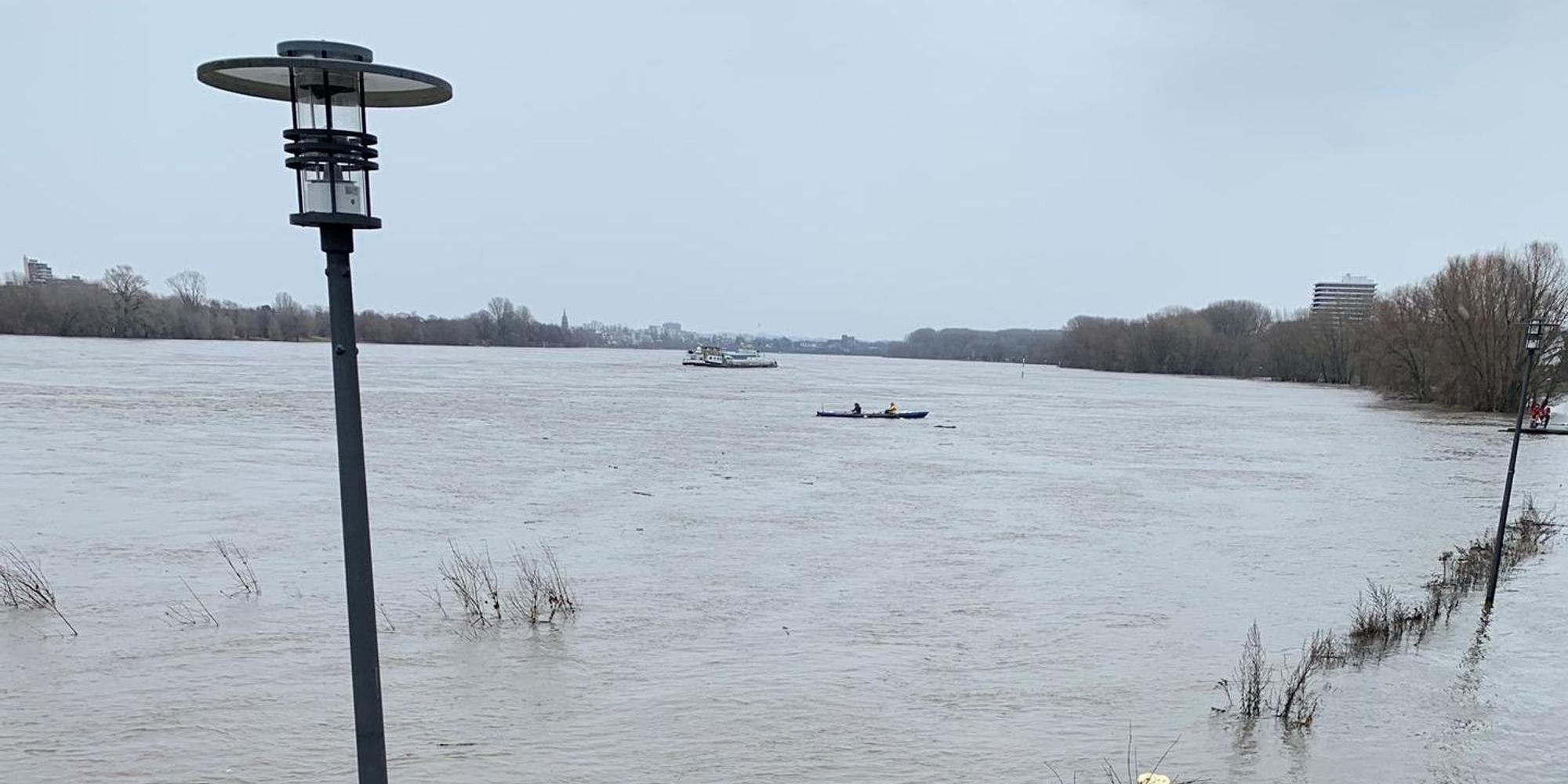 Rheinhochwasser2 (1)