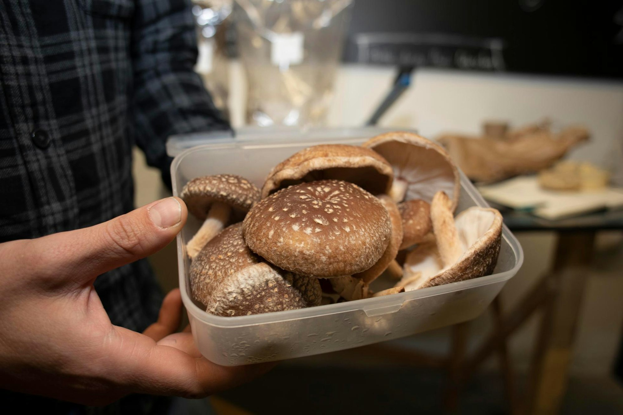 20201020-BOP-wandelwerkrundgang-064