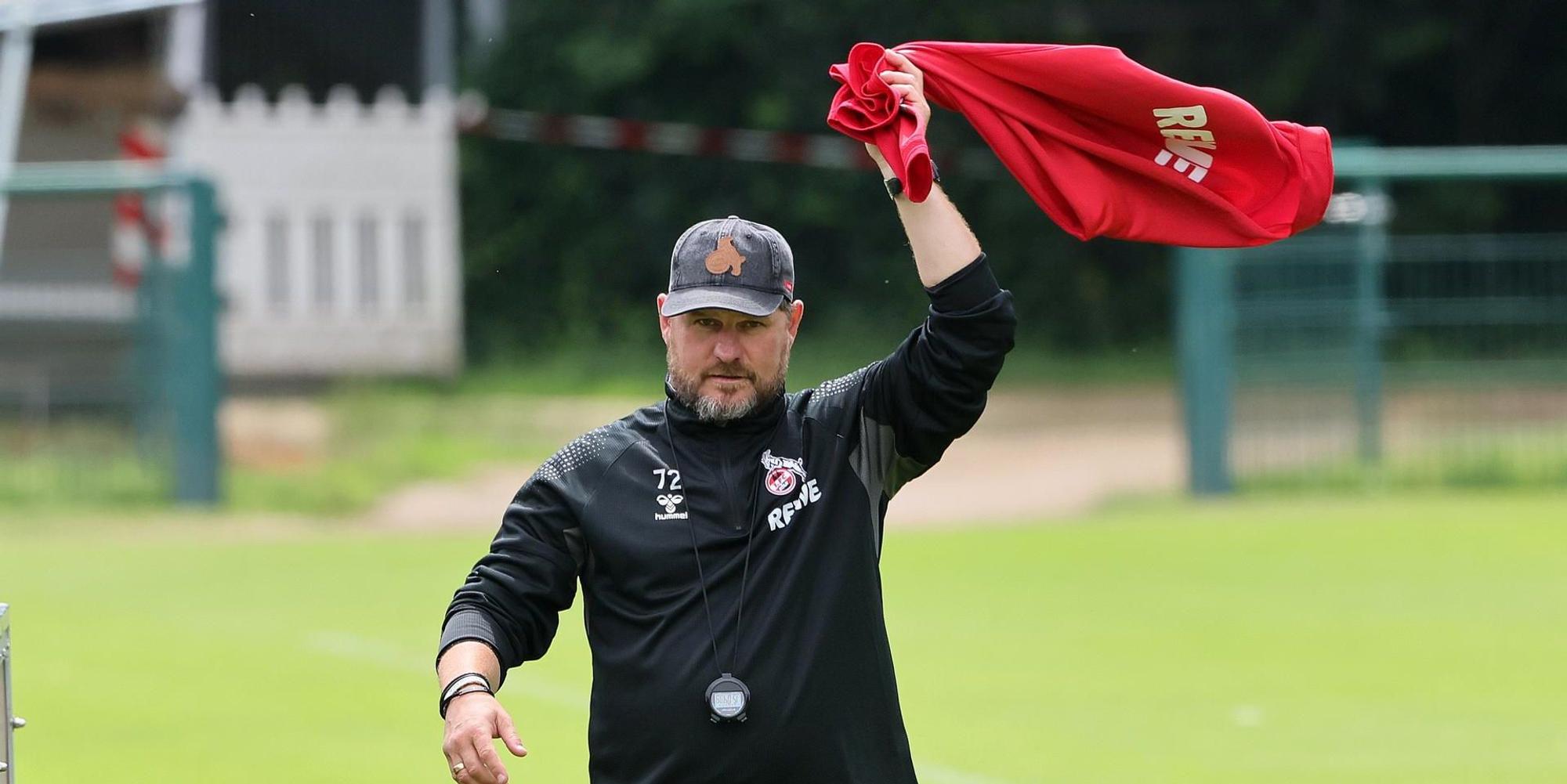 Baumgart Bucco Rot