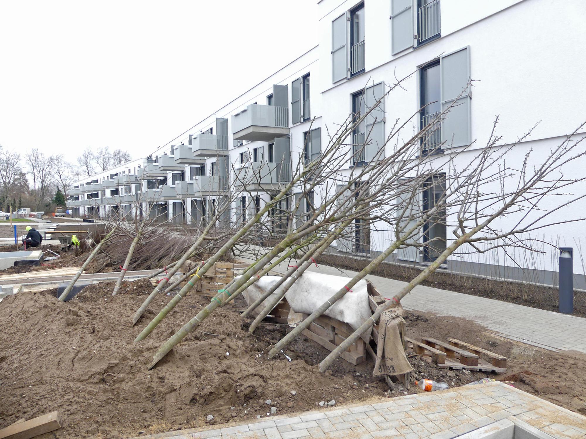 roes-bauen-ehrenfeld-006