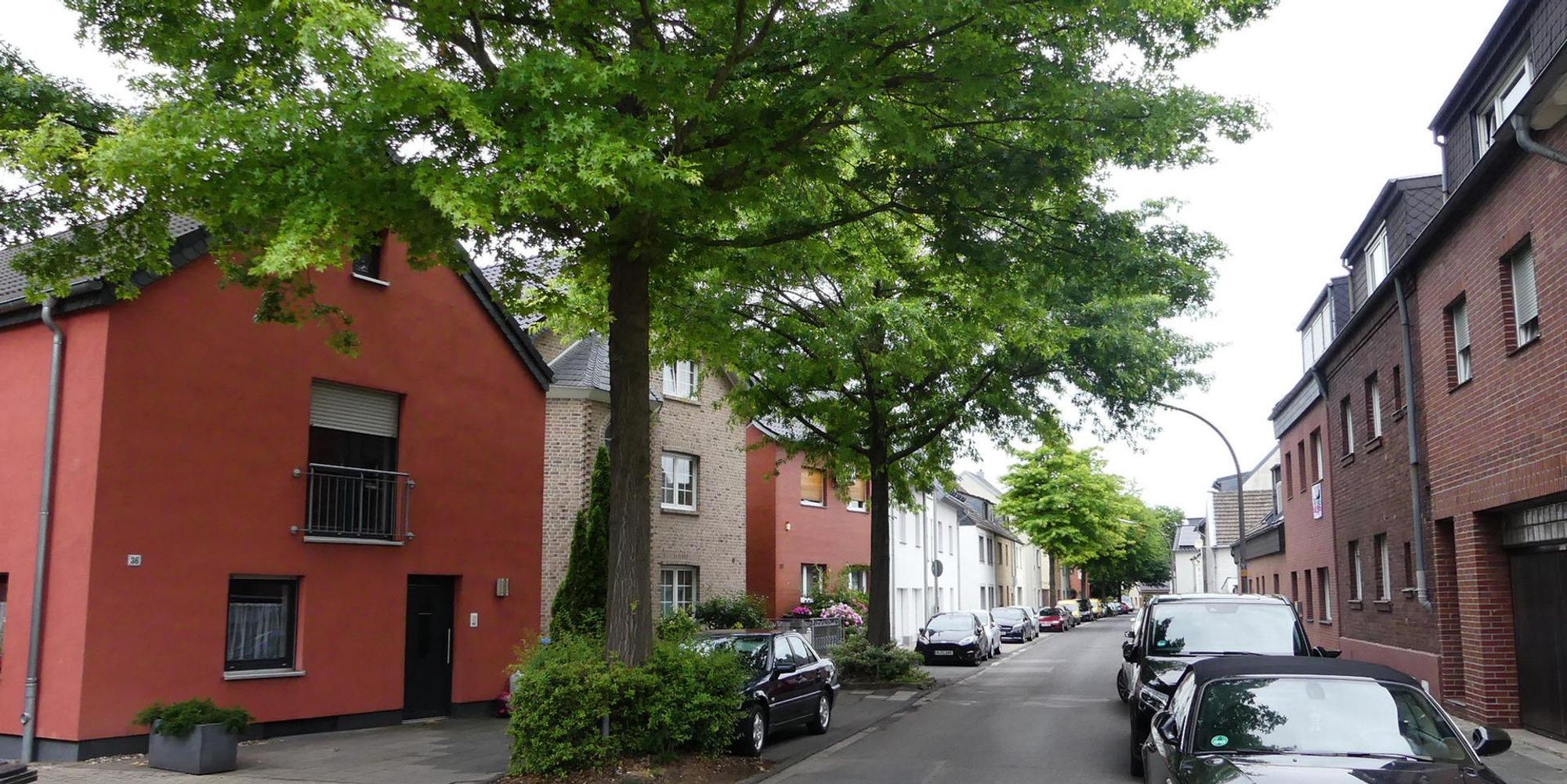 roes-lerchenweg-005