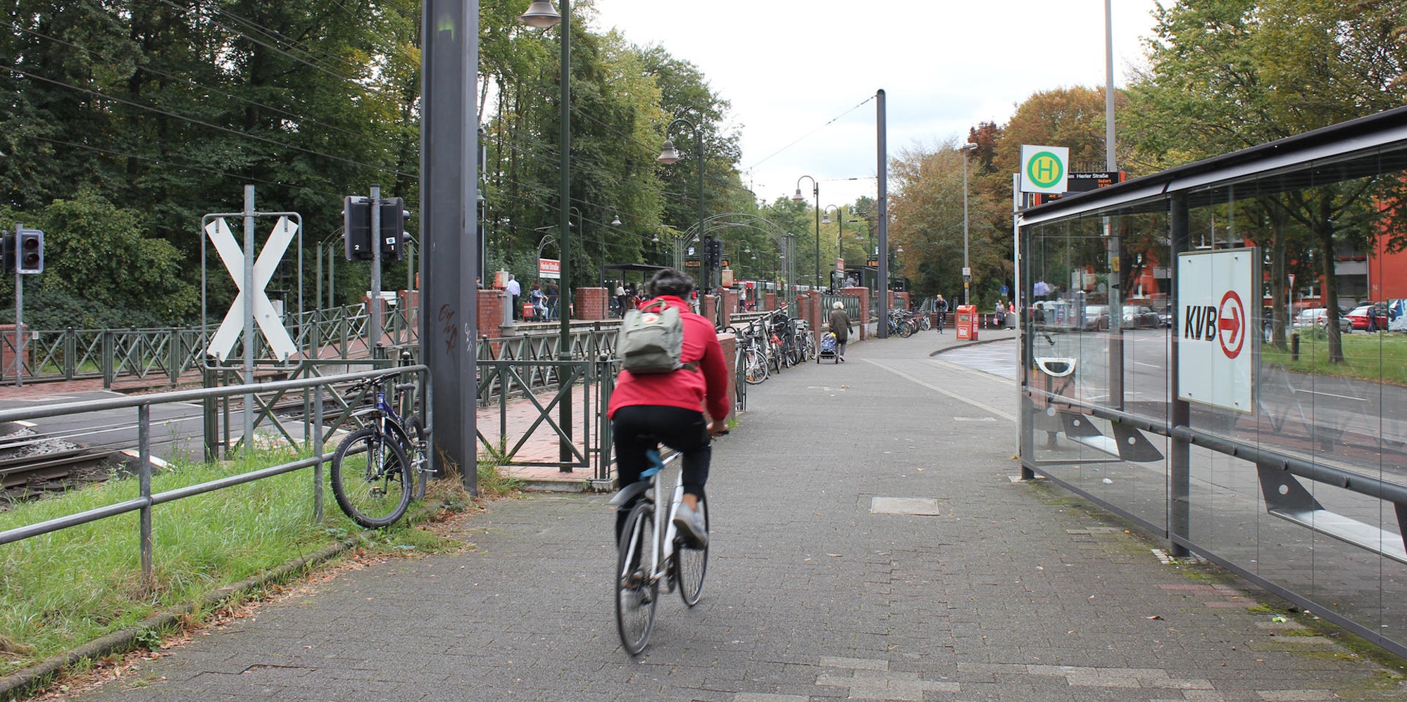 aef-sicherheit-herler-2