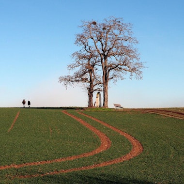 Traumpfädchen mit weiter Landschaft: Unterwegs auf dem Paradiesweg stoßen Wanderer auf markante Ausblicke.