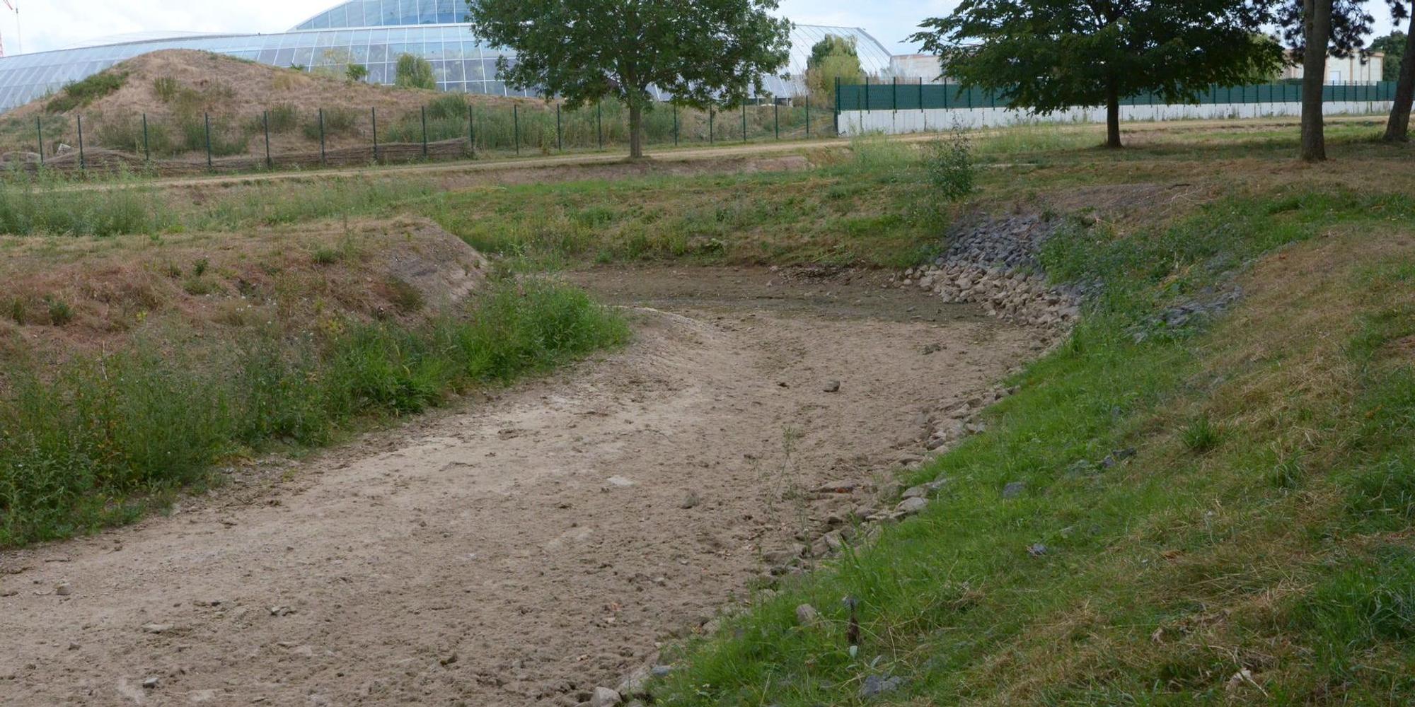 Erft ausgetrocknet