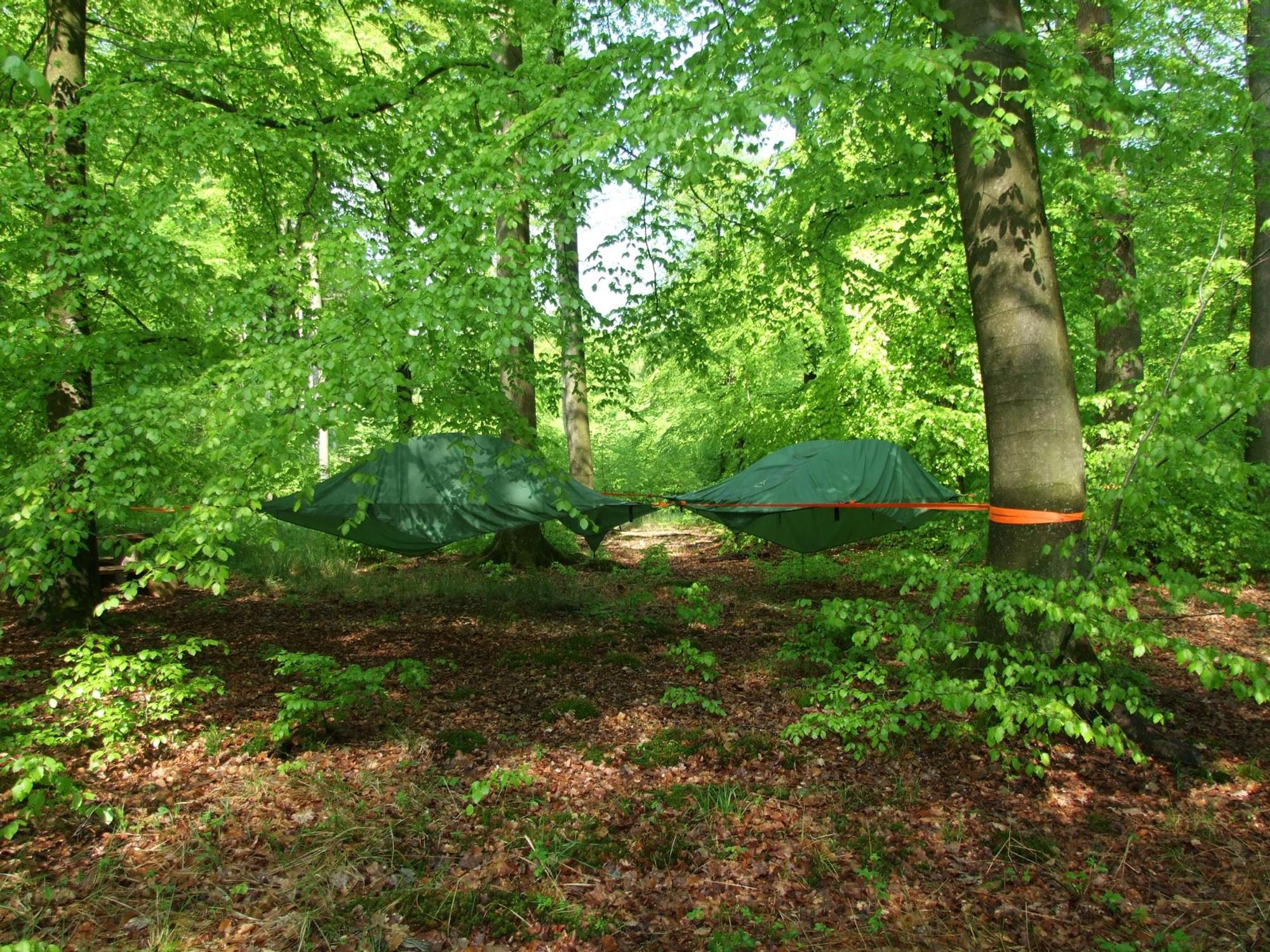 übernachtungen natur wildpark