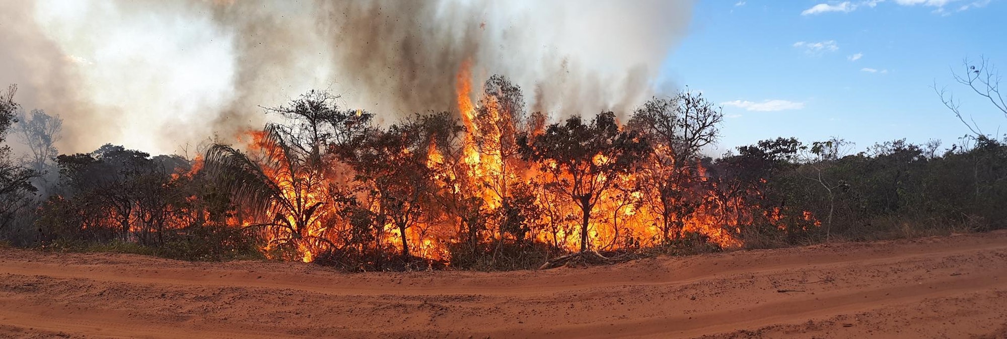 waldbrand braislien_b