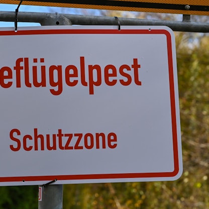 Schild_Gefluegelpest