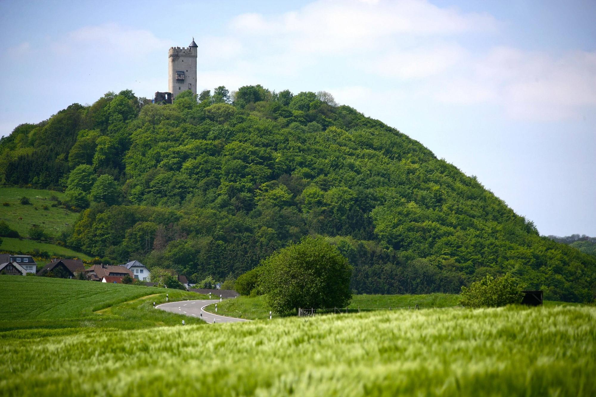 Eifel Burg Olbrück imagoManngold