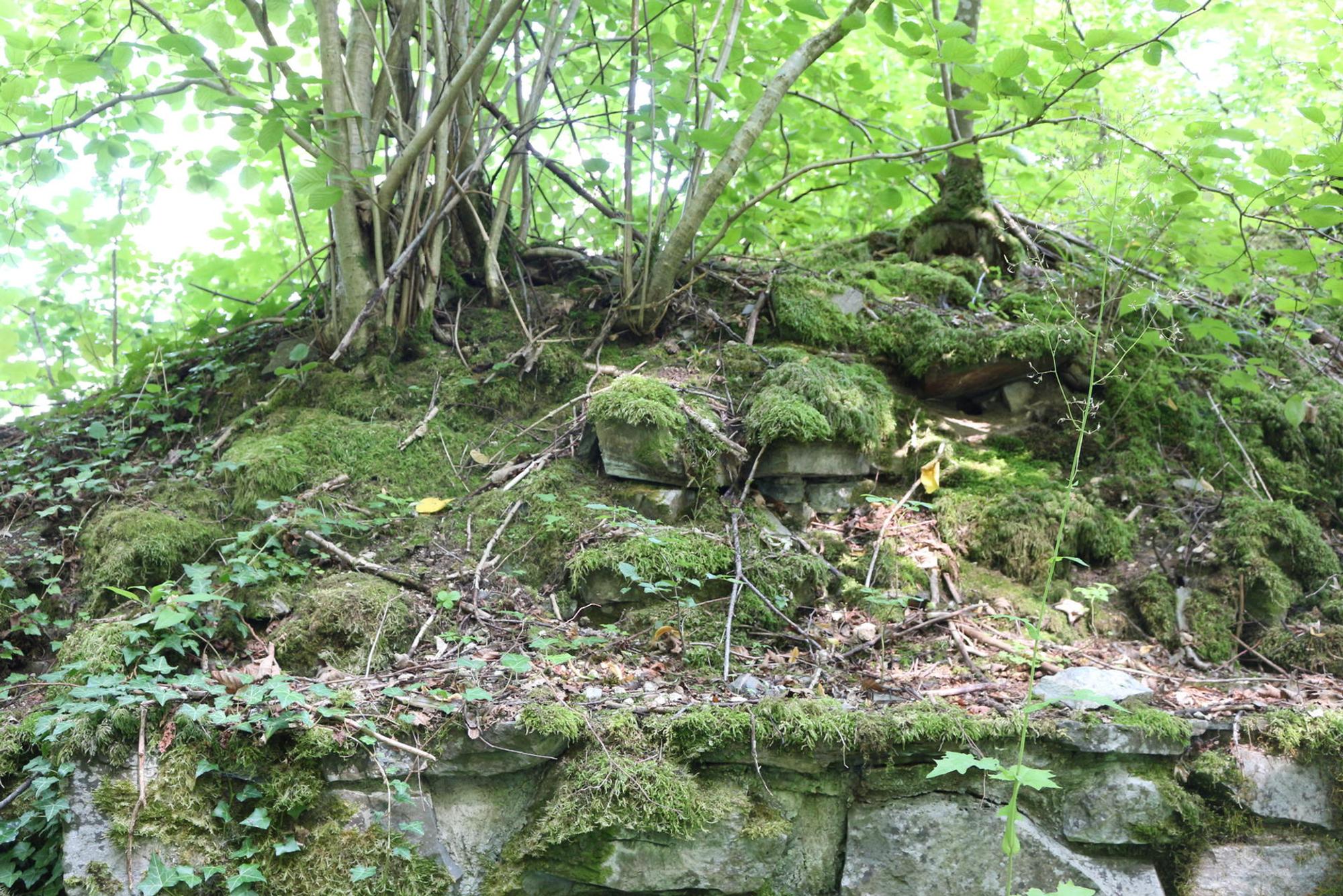 Bieberstein2 (1)