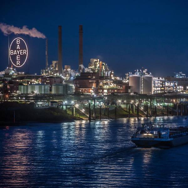 bayer-bei-nacht