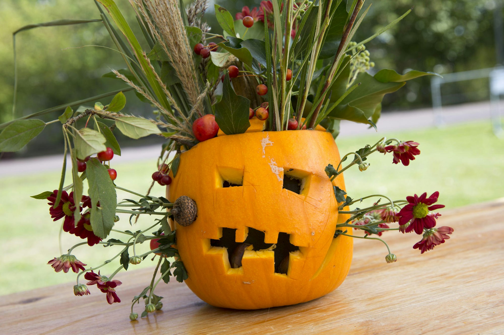 Halloween Kürbis geschnitzt Herbst Deko
