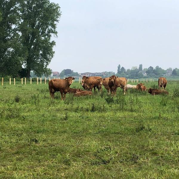 Neuer Inhalt
