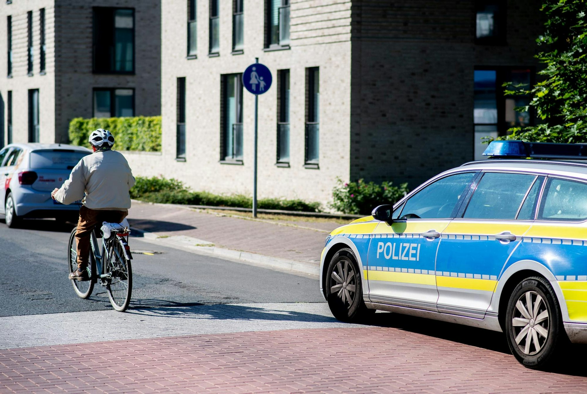 Junge Oldenburg Gully 250622