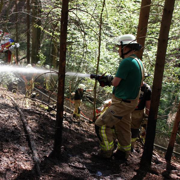 Waldbrand Lohmar