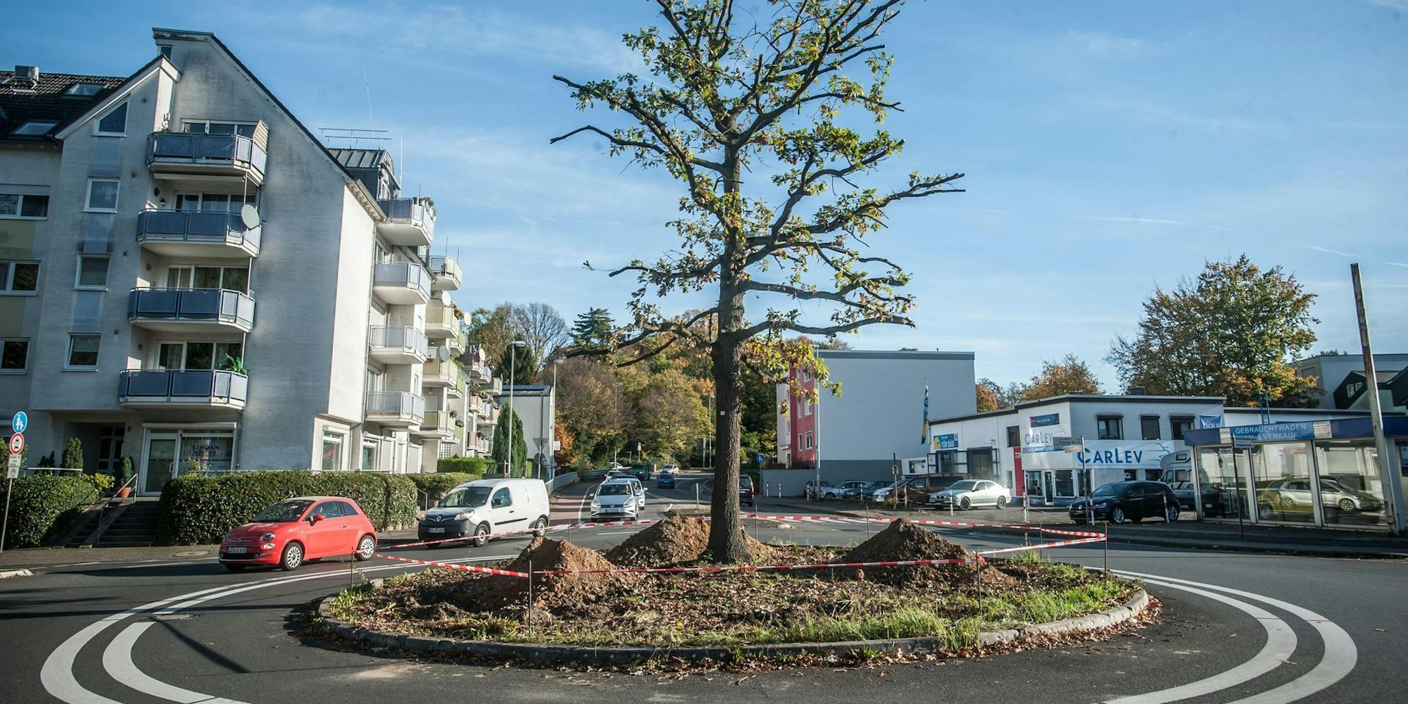 milleniums-eiche_rar_rle_10272022ALF_4213