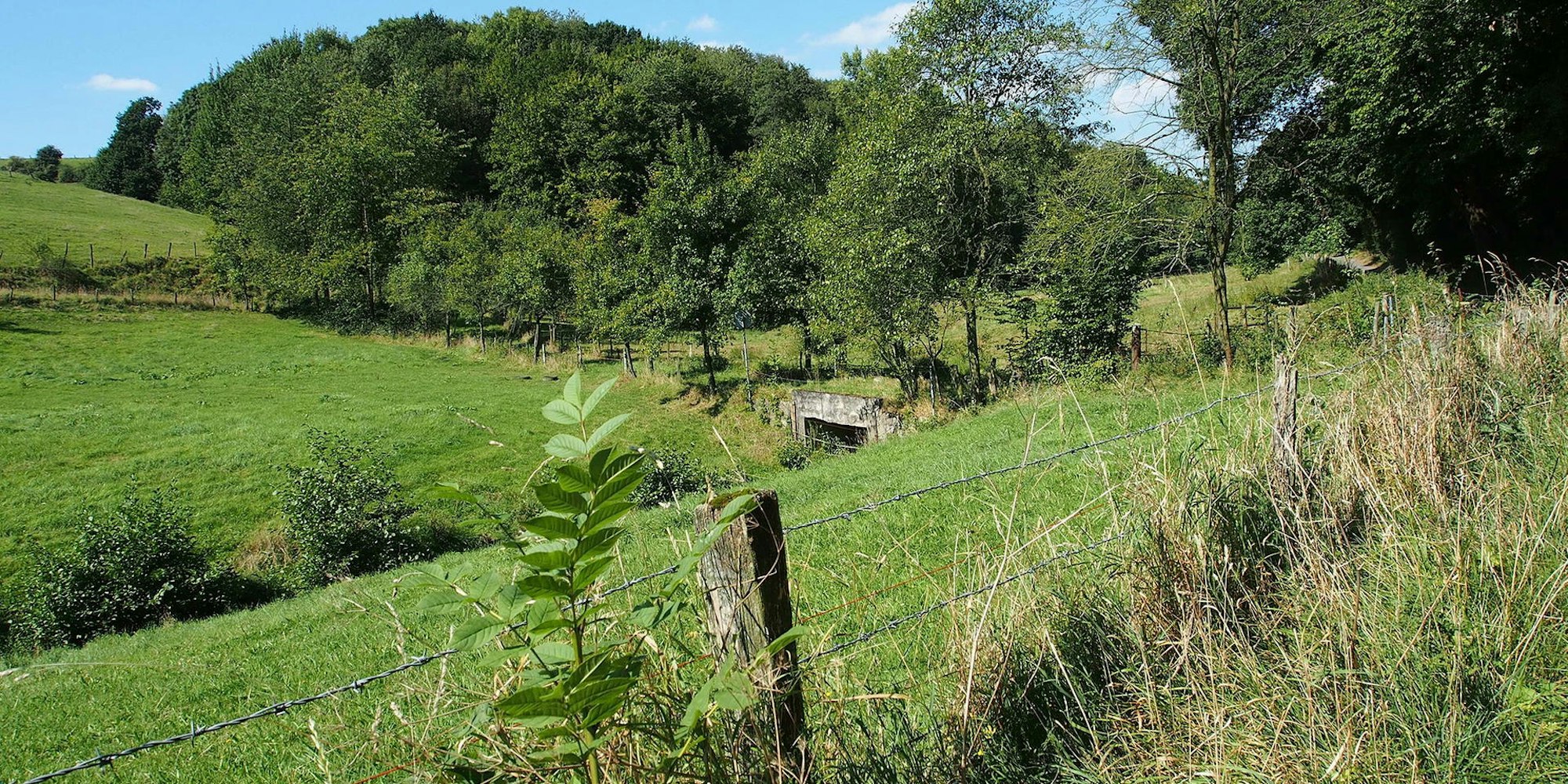 lauterbachtal-a