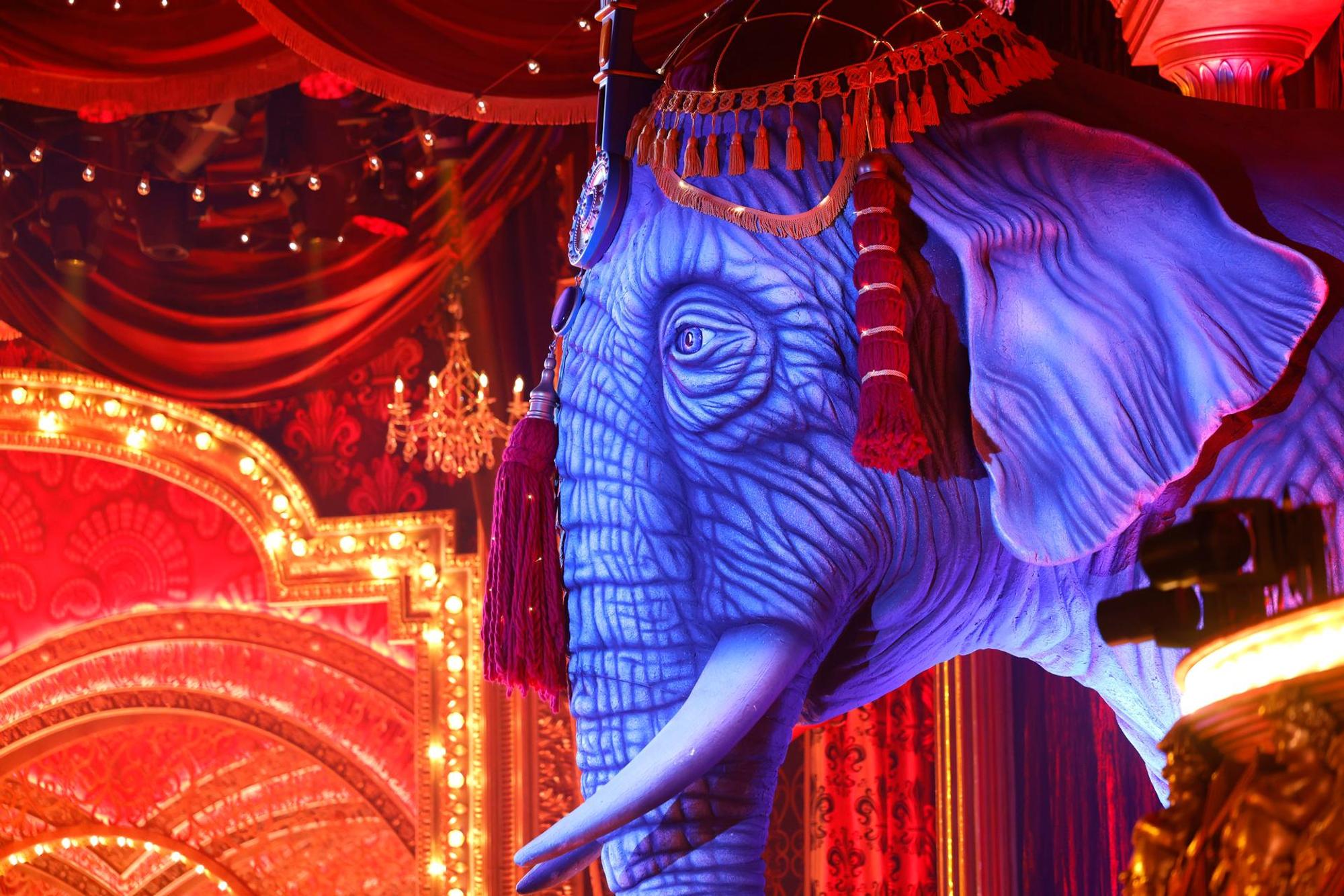 MR-Elefant