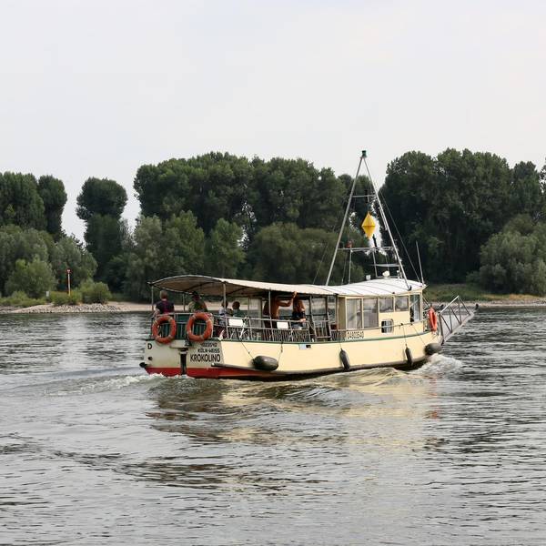Krokolino