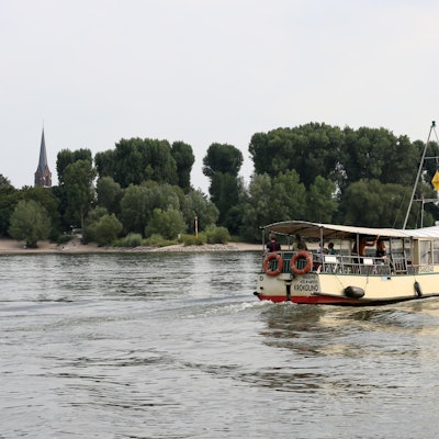 Krokolino