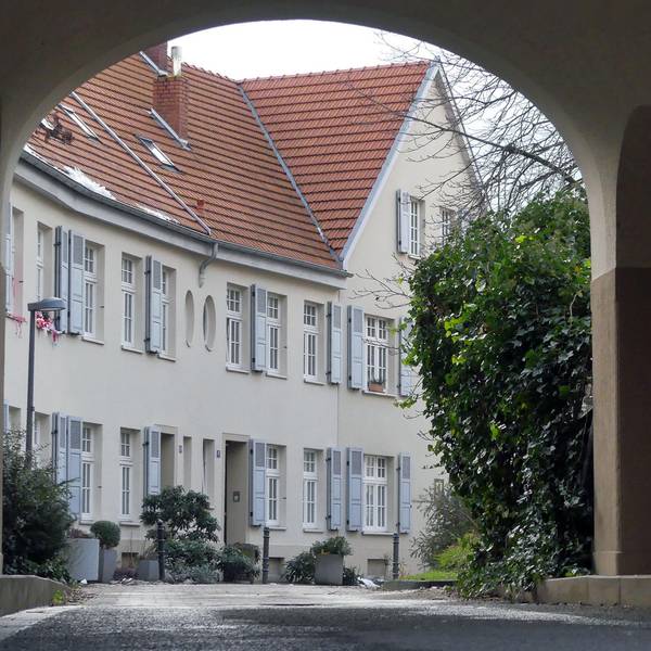 roes-spaziergang-nef-002