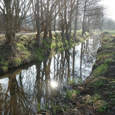 Gewässer Symbolbild