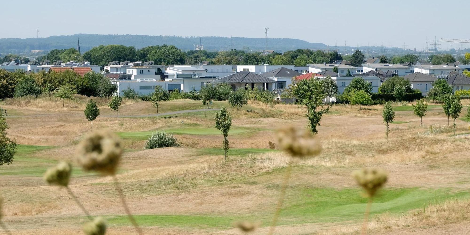 widdersdorf1