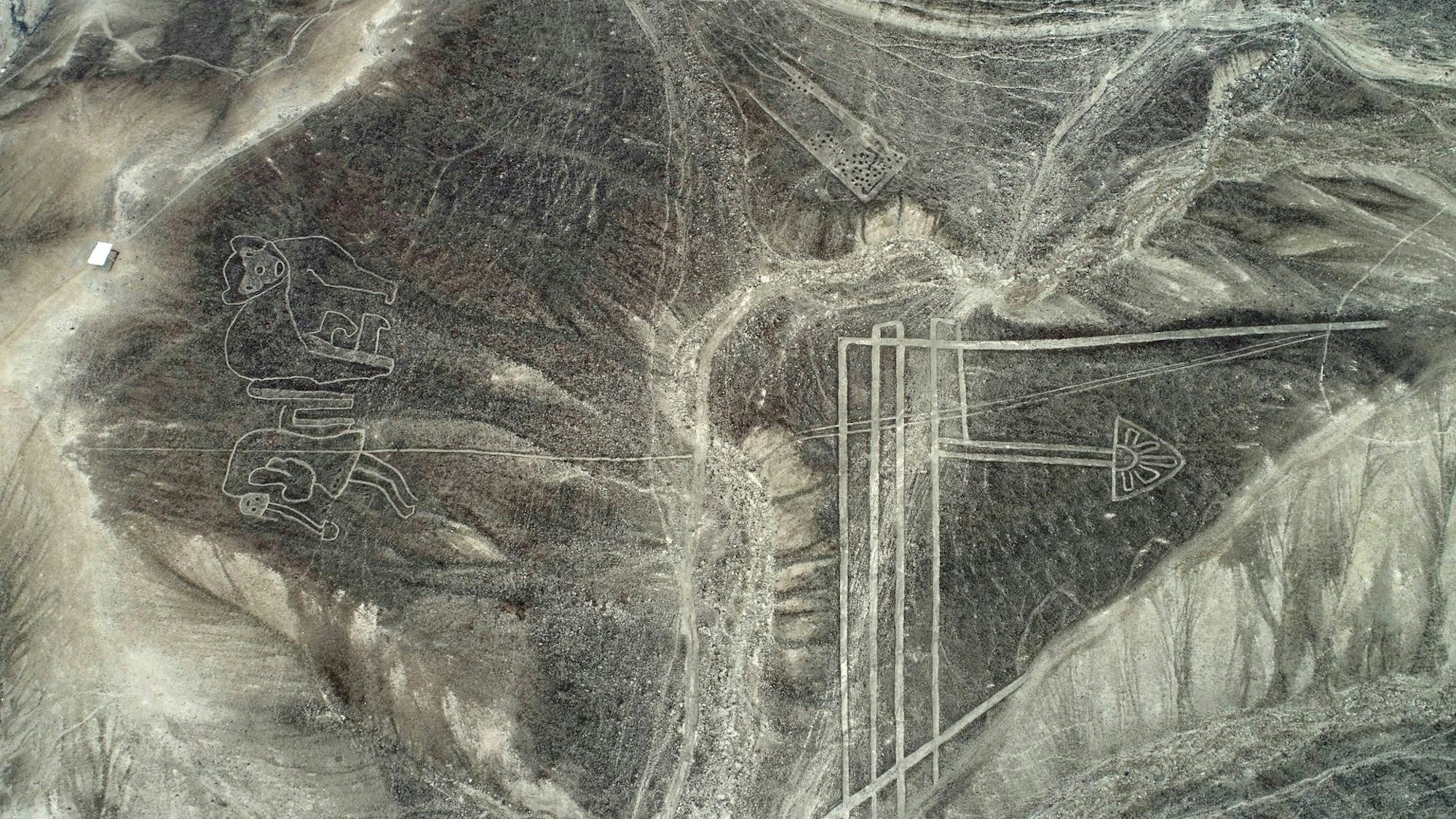 Palpa-Linien2
