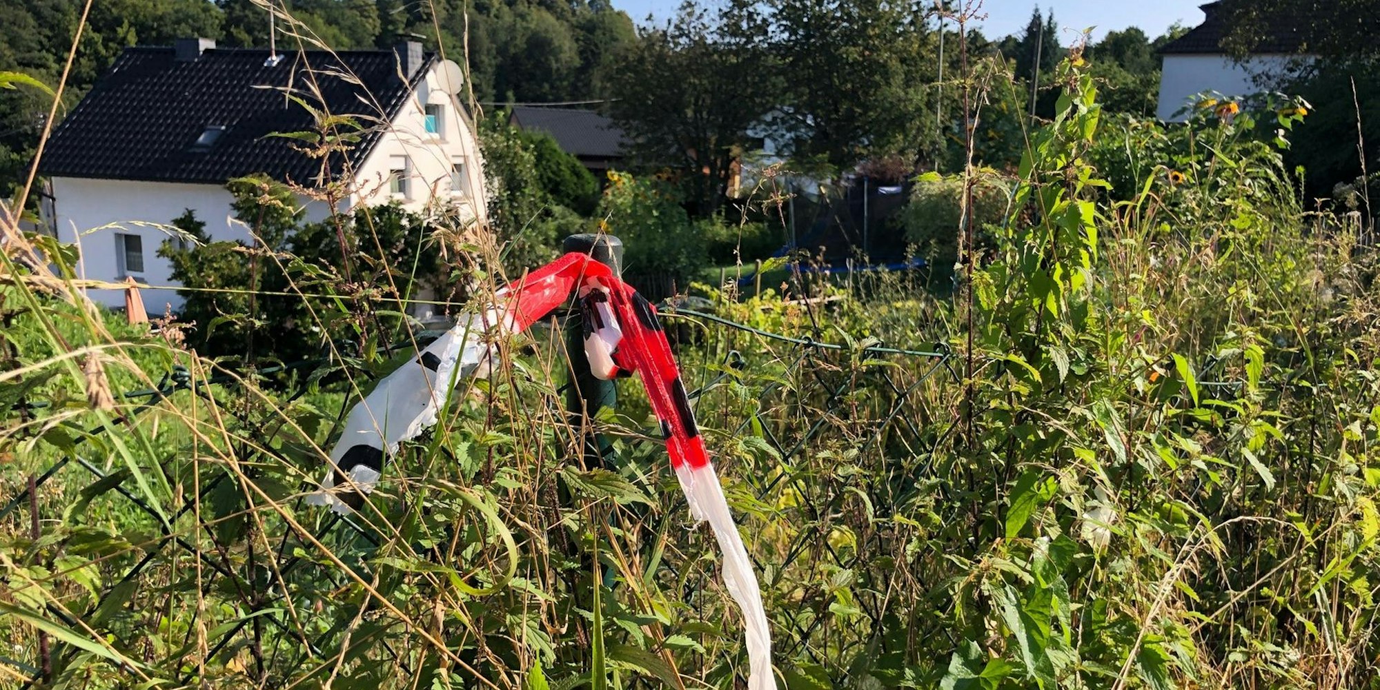 Neuer Inhalt