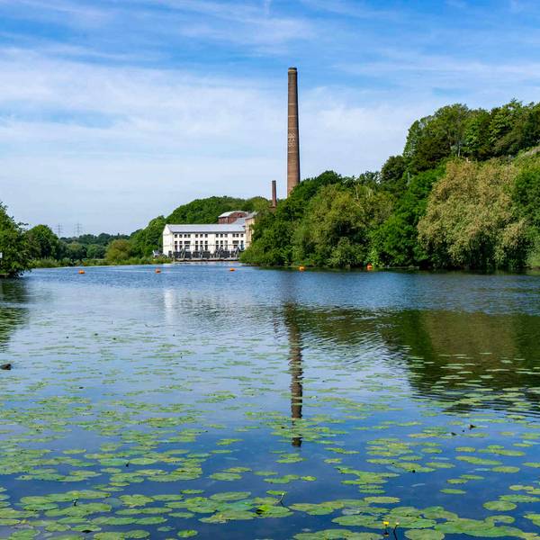 Neuer Inhalt