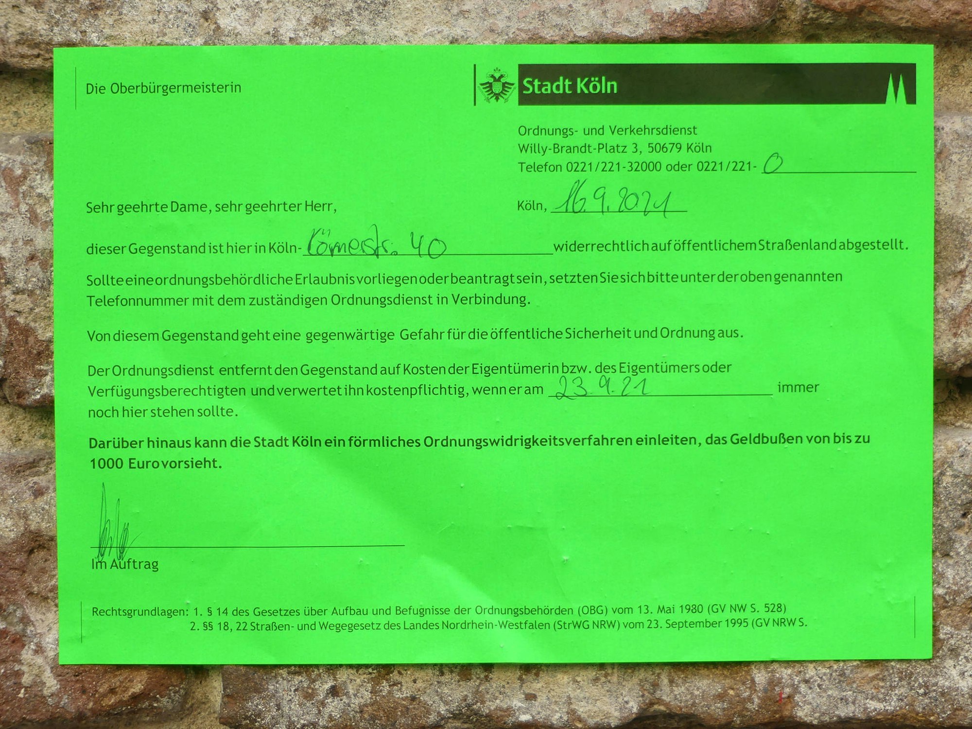 roes-koernerfeld-001