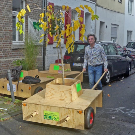 roes-wanderbaeume-002