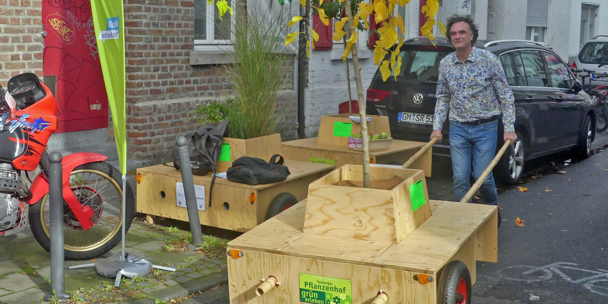 roes-wanderbaeume-002