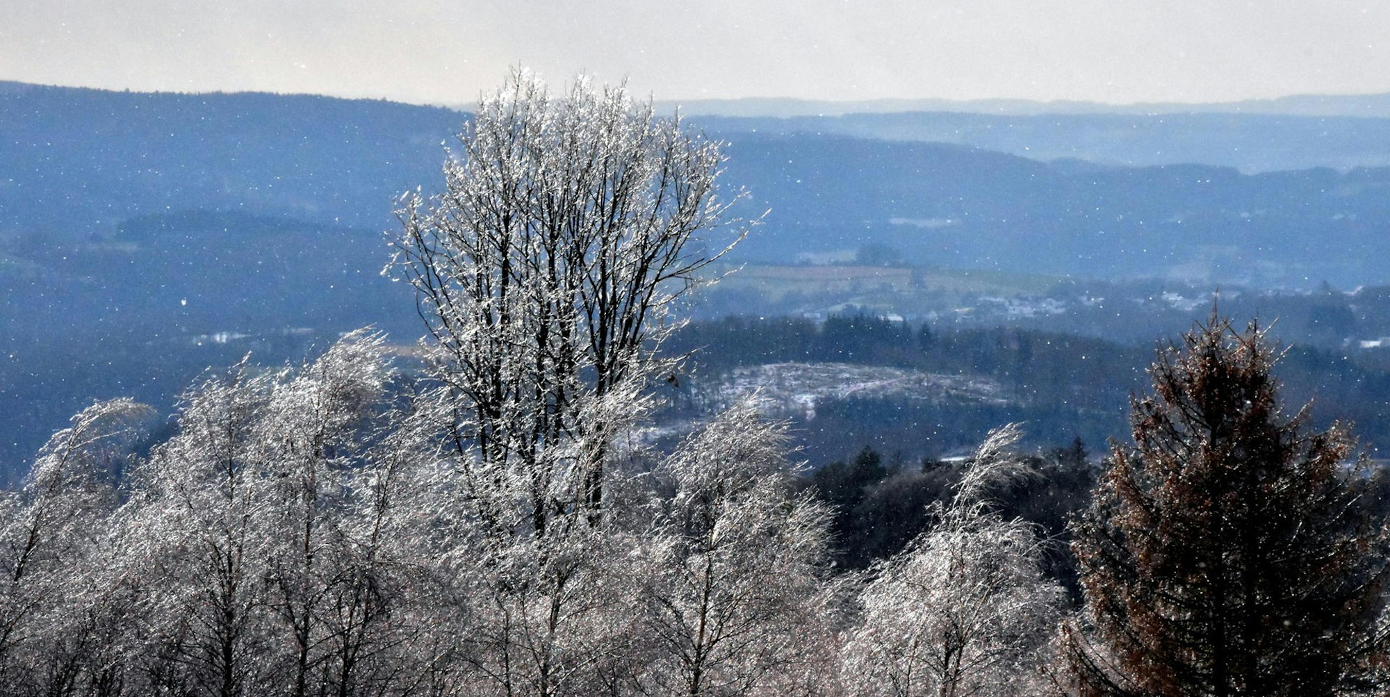 Siebengebirge_Nutscheid_Siegtal