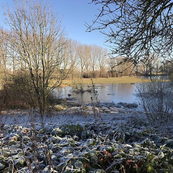Blick auf einen winterlichen See