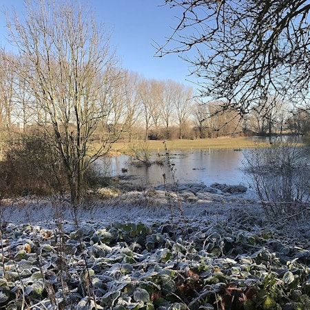 Blick auf einen winterlichen See