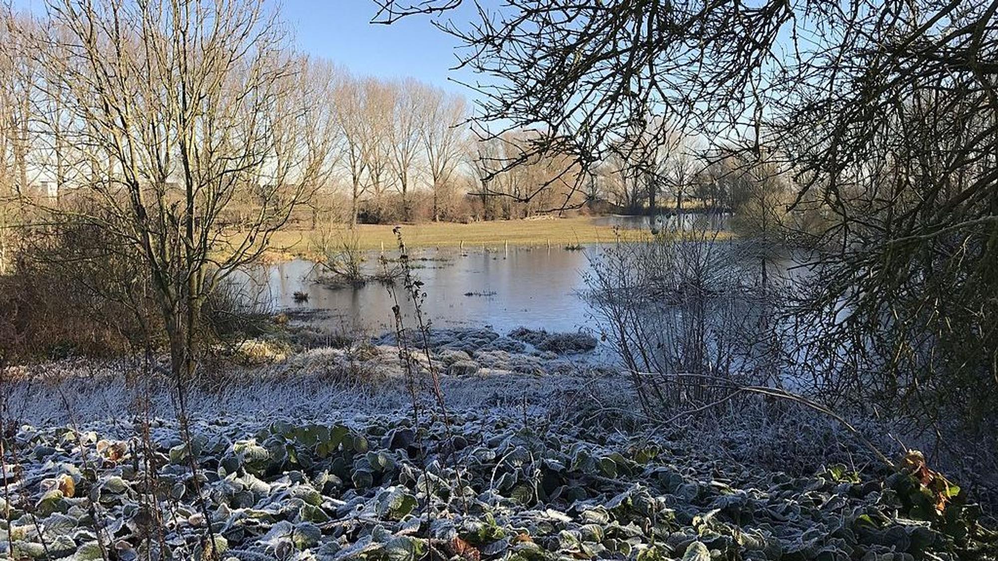 Blick auf einen winterlichen See