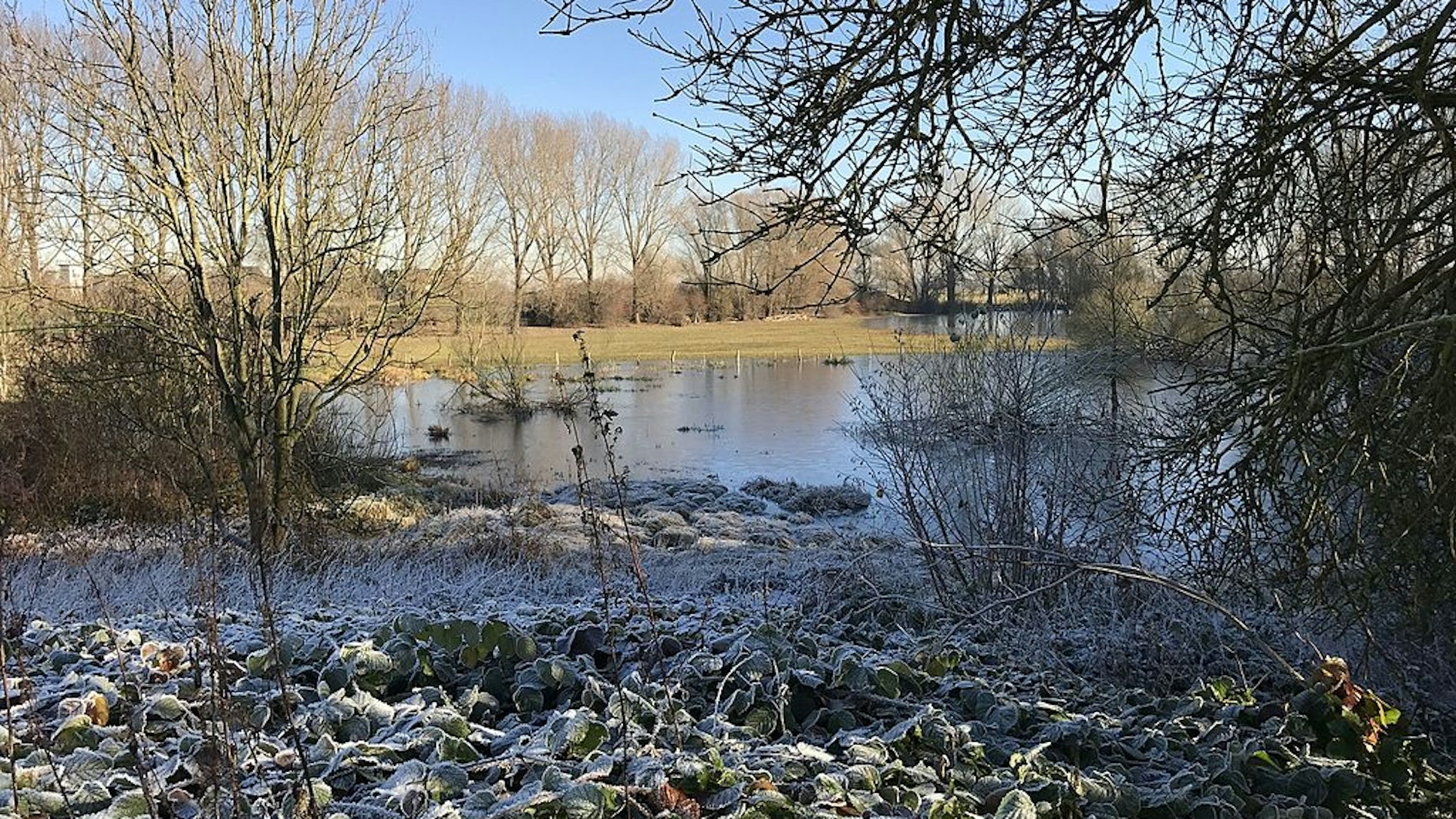 Blick auf einen winterlichen See