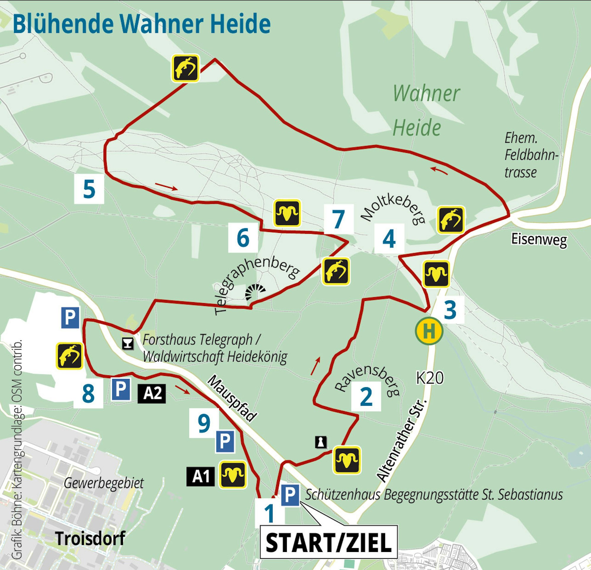 Tippel-WahnerHeide-01