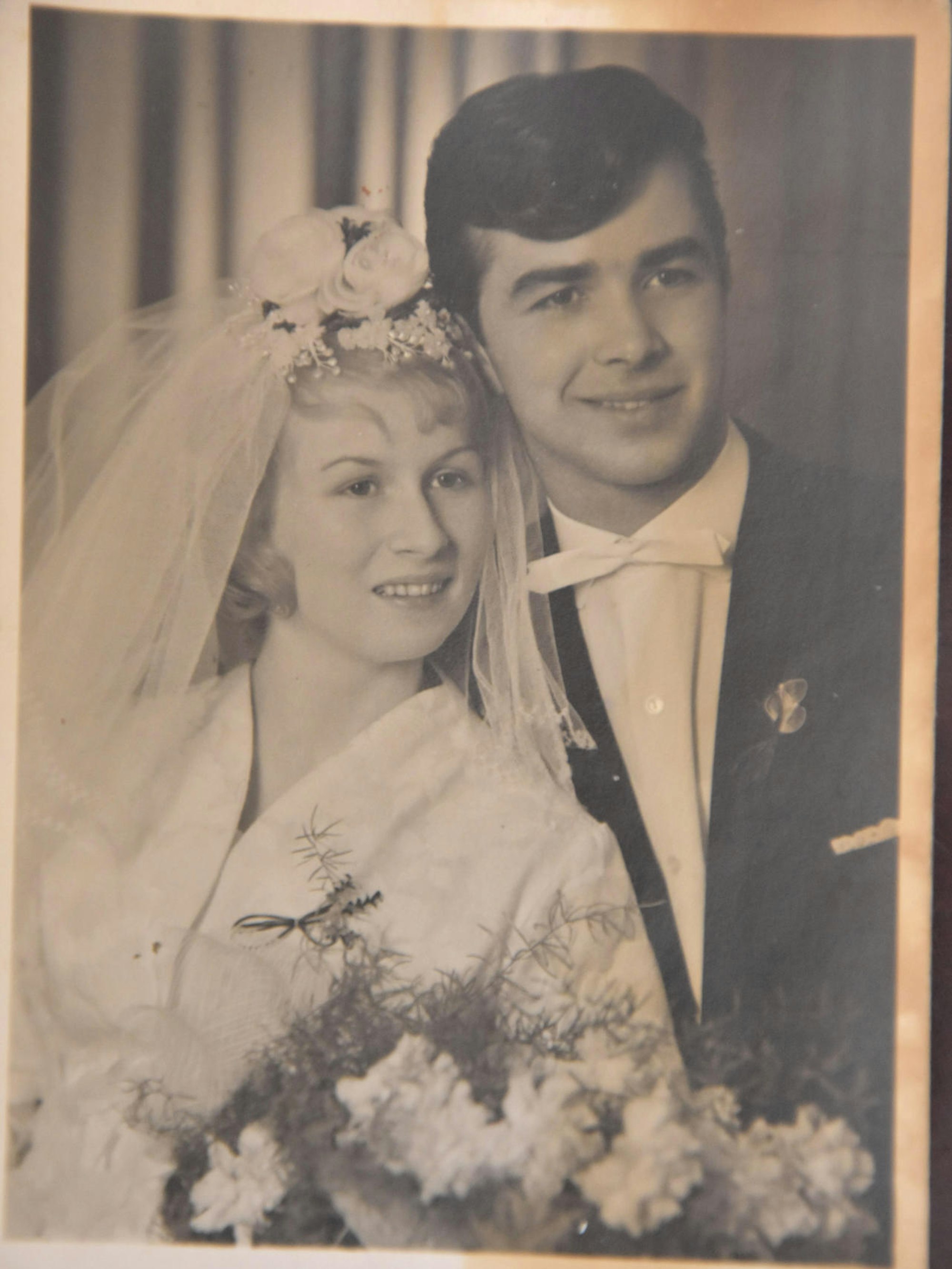 bb-DiaHo-Brand-FTZ (2)