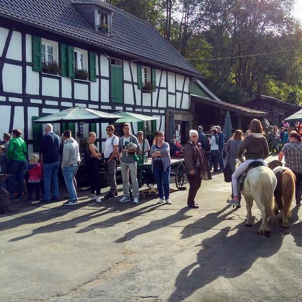 Gammersbachermuehle Reiche mit Ponys 2018