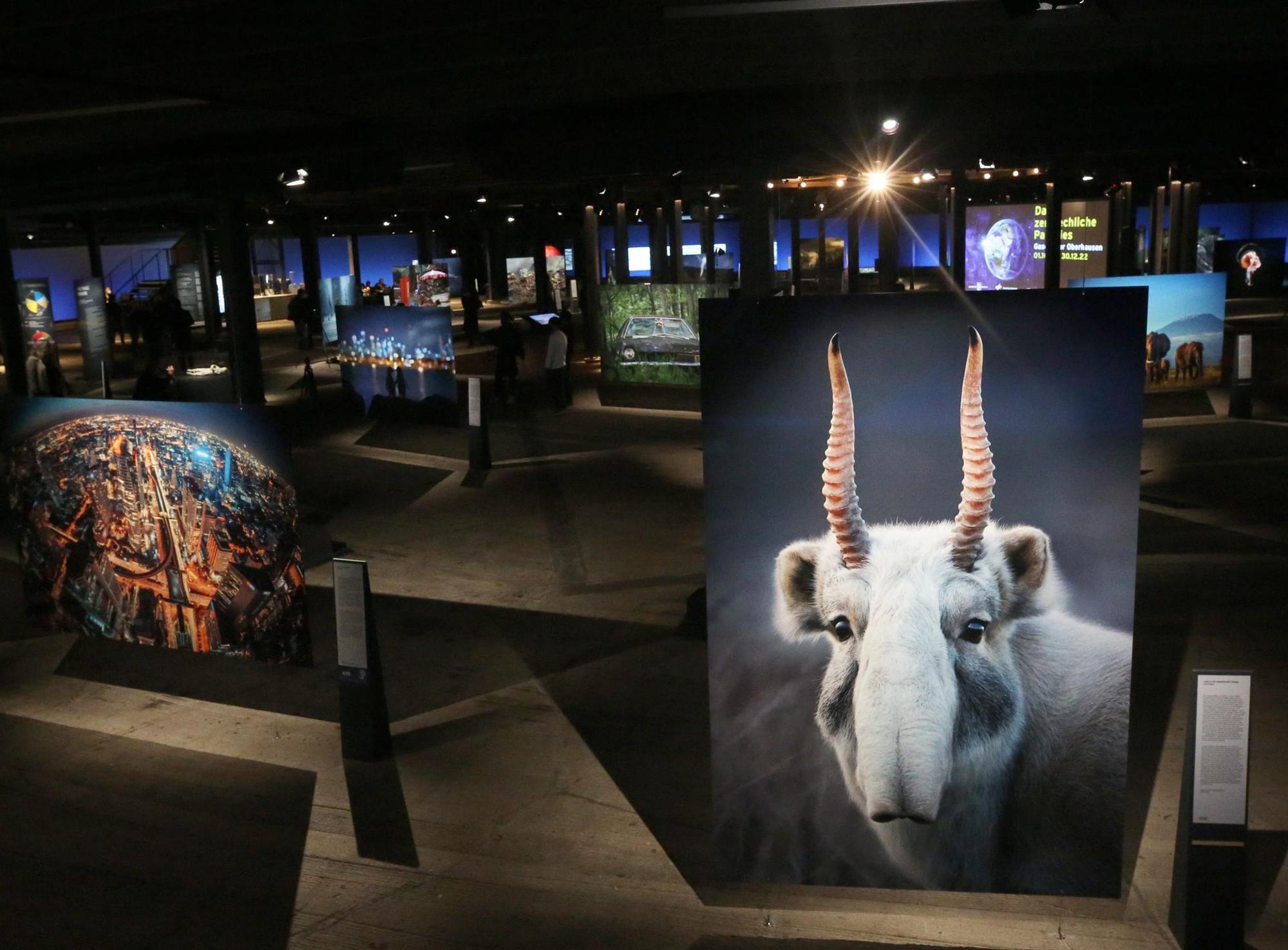 Ausstellung Paradies Gasometer_002_dpa