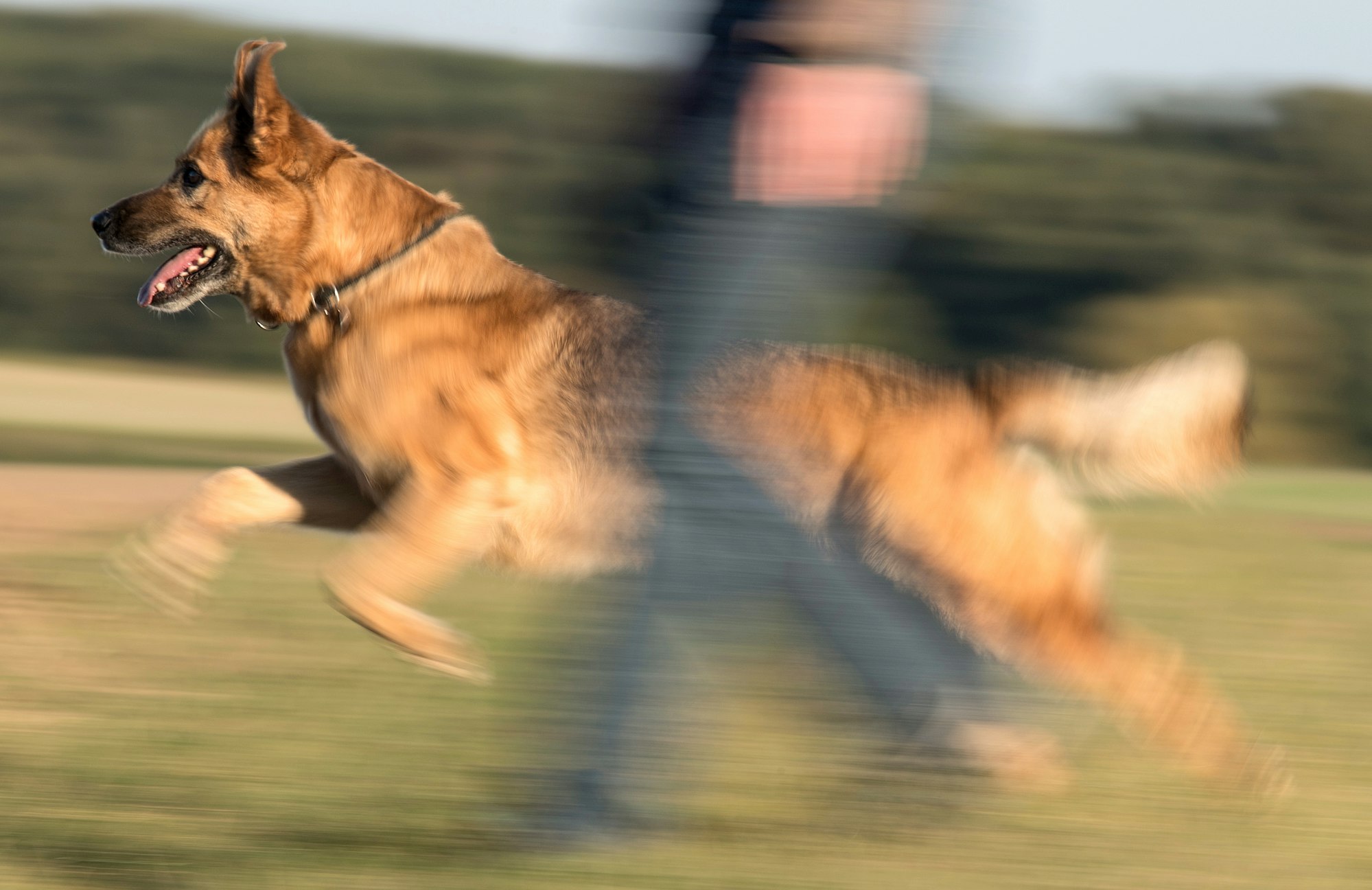 1492A20086173A95