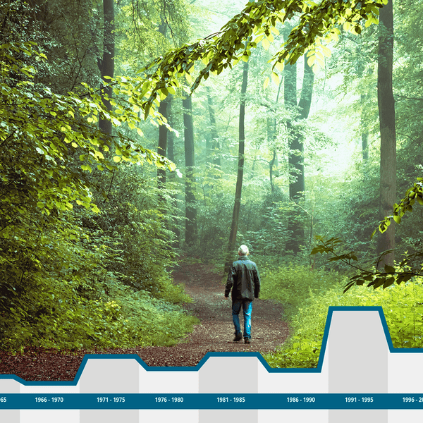 Waldserie-Online-Teil-1-HEADER