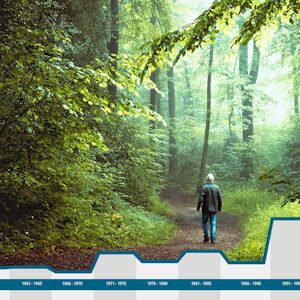 Waldserie-Online-Teil-1-HEADER