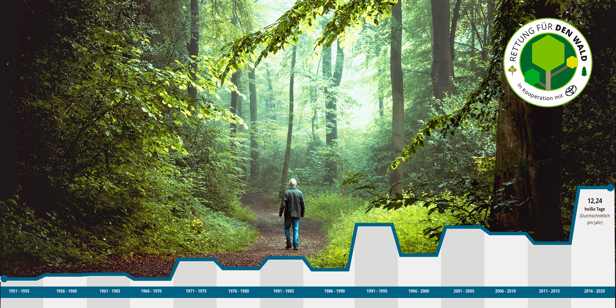 Waldserie-Online-Teil-1-HEADER