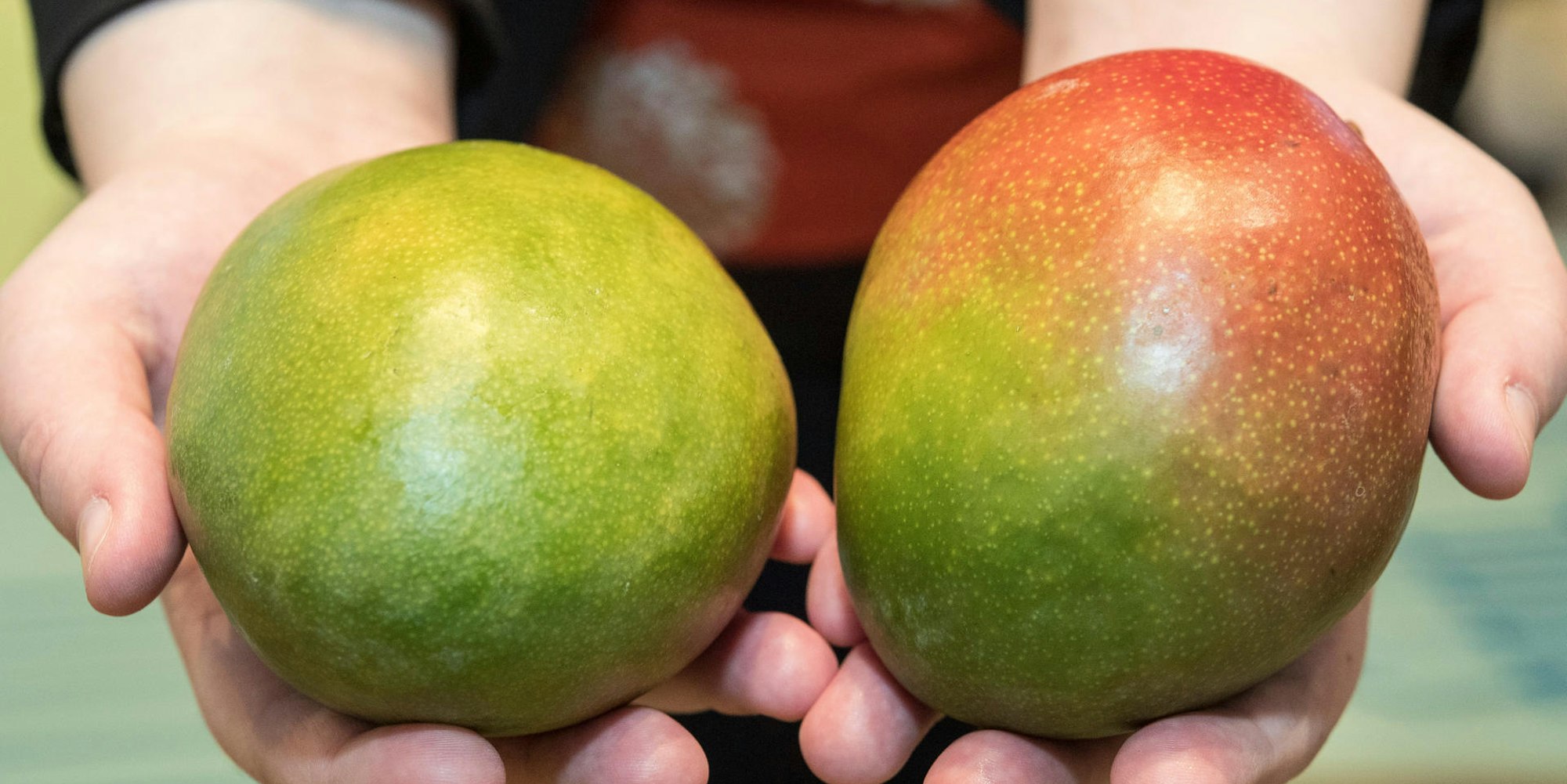 mango