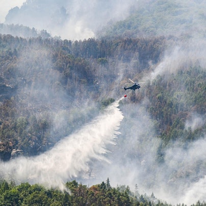 waldbrand sächsische schweiz