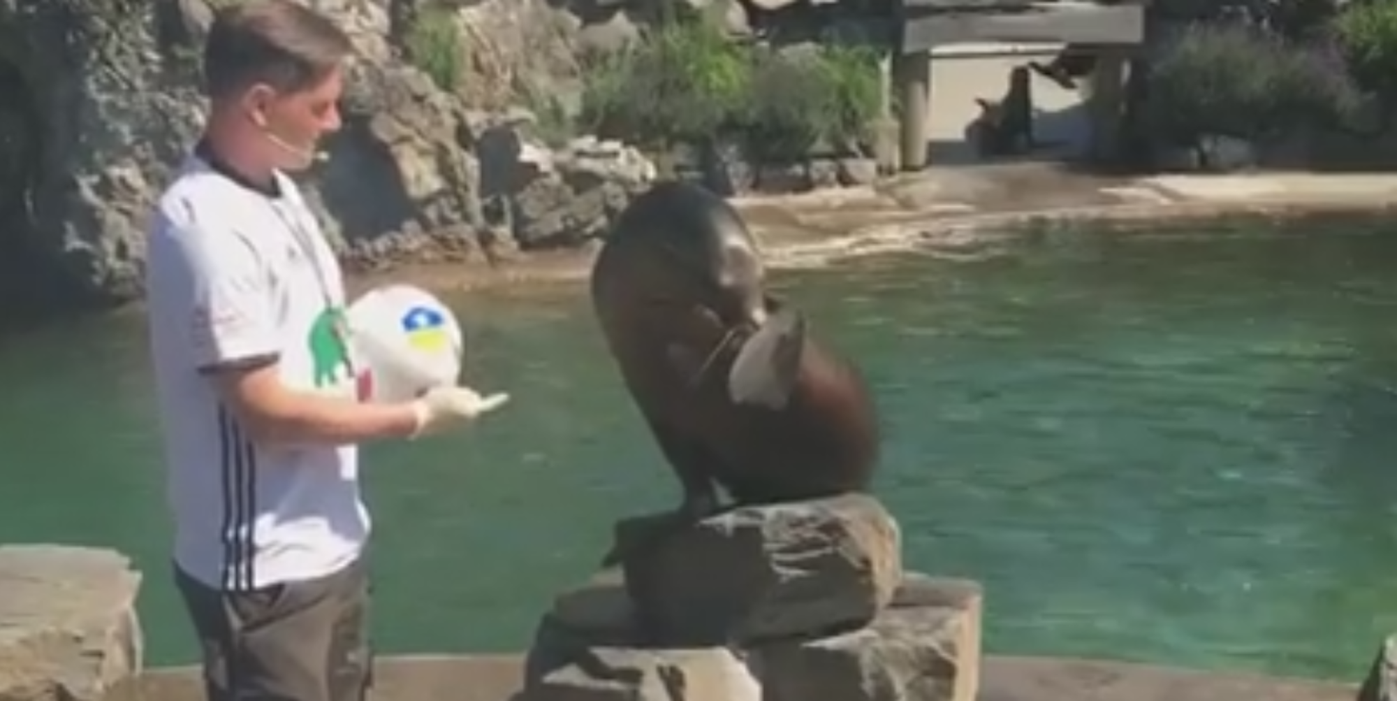 zoo-orakel